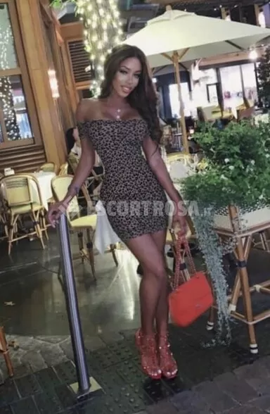 escort girl Anitta Rodrigues | Image 4